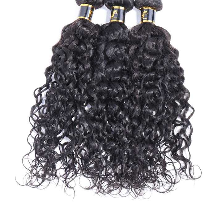 Hair Water Curly Bundles With Closure 100% Human Hair 3 Bundles Hair